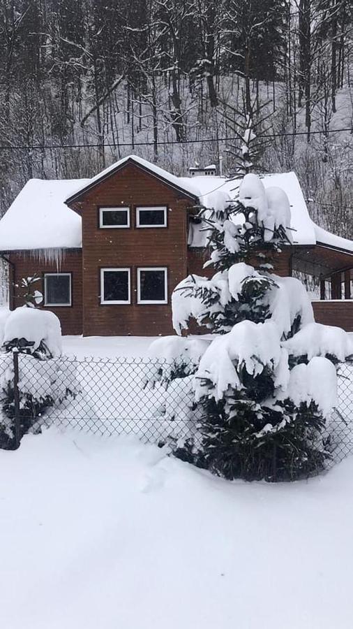Bieszczadzki Klin Bklin Villa Cisna Luaran gambar