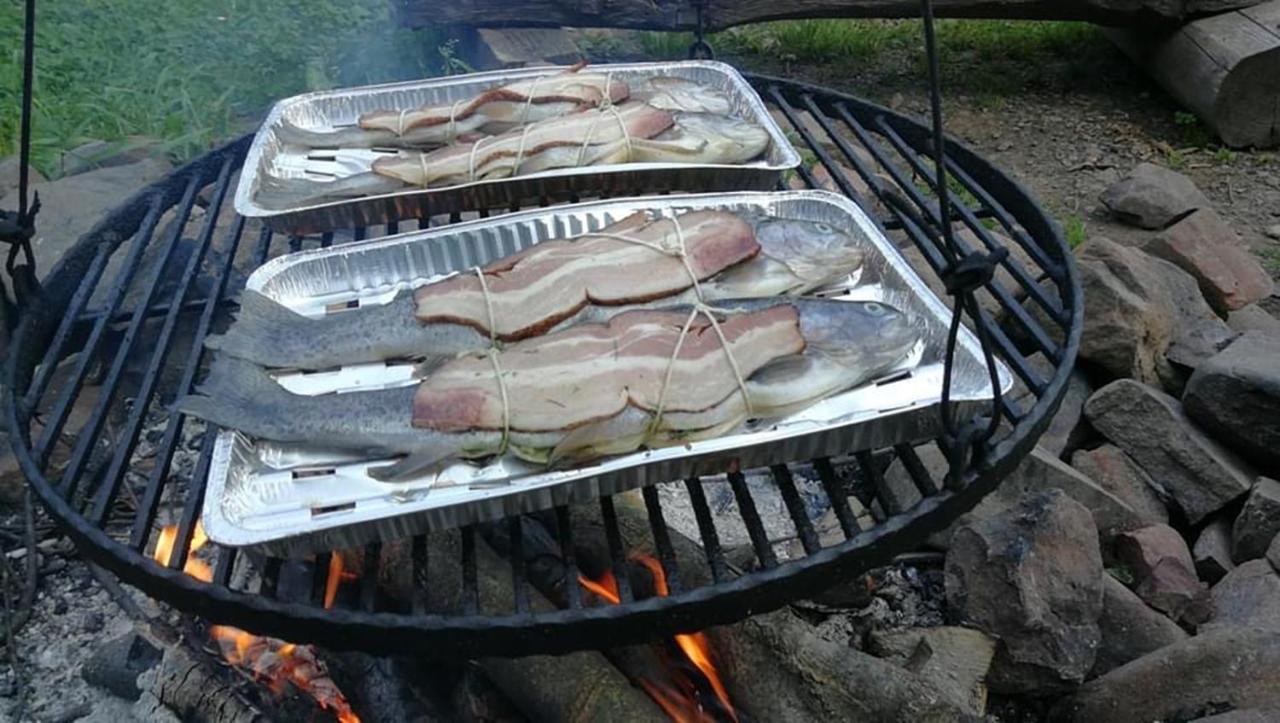 Bieszczadzki Klin Bklin Villa Cisna Luaran gambar