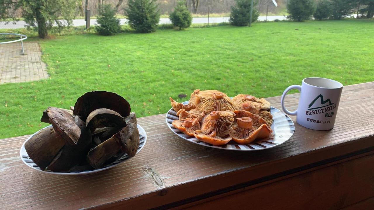 Bieszczadzki Klin Bklin Villa Cisna Luaran gambar