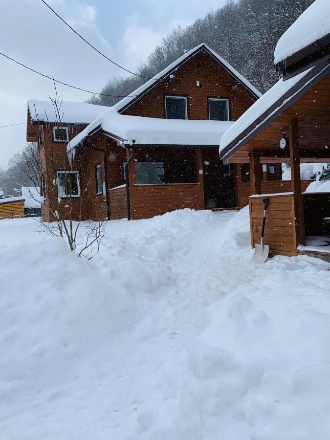 Bieszczadzki Klin Bklin Villa Cisna Luaran gambar
