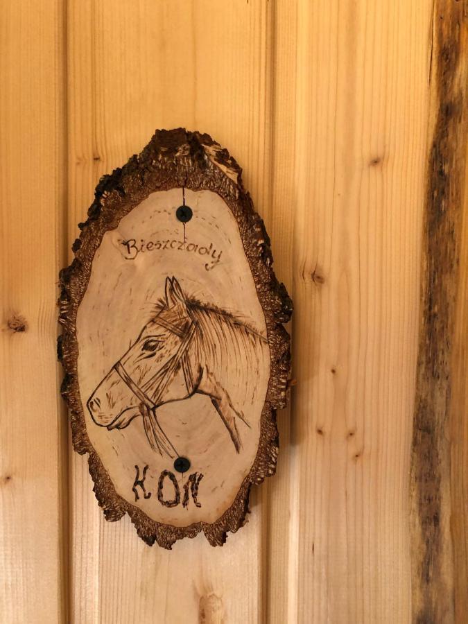 Bieszczadzki Klin Bklin Villa Cisna Bilik gambar